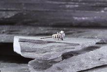 Load image into Gallery viewer, 14K White Gold Stud Earrings Set With Blue Sapphires And White Diamonds, View #4