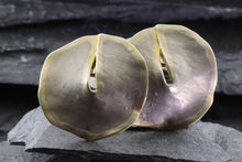 Load image into Gallery viewer, Sterling Silver With Gold Plate Earrings, View #1