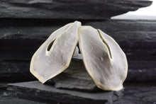 Load image into Gallery viewer, Sterling Silver With Gold Plate Earrings, View #2